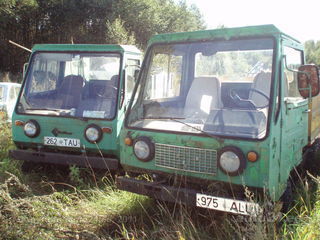 Размещенное изображение